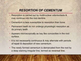 • Smooth surface becomes irregular.
• Continuous deposition of cementum occurs with age in the
apical area.
• Deposited at...