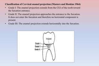 Cementum | PPTX