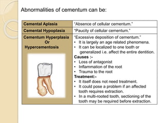 cementum.pptx