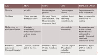 CEMENTUM .pptx