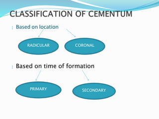  Based on location
 Based on time of formation
RADICULAR CORONAL
PRIMARY SECONDARY
 