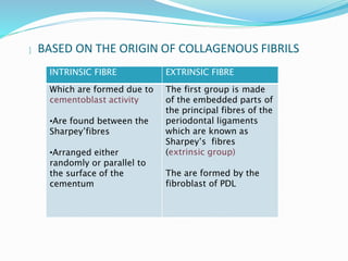  BASED ON THE ORIGIN OF COLLAGENOUS FIBRILS
INTRINSIC FIBRE EXTRINSIC FIBRE
Which are formed due to
cementoblast activity
•Are found between the
Sharpey’fibres
•Arranged either
randomly or parallel to
the surface of the
cementum
The first group is made
of the embedded parts of
the principal fibres of the
periodontal ligaments
which are known as
Sharpey’s fibres
(extrinsic group)
The are formed by the
fibroblast of PDL
 