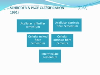  SCHRODER & PAGE CLASSIFICATION (1968,
1991)
Acellular afibrillar
cementum
Acellular extrinsic
fibre cementum
Cellular mixed
fibre
cementum
Cellular
intrinsic fibre
cements
Intermediate
cementum
 
