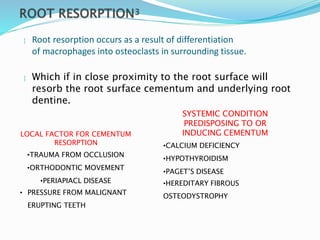  Root resorption occurs as a result of differentiation
of macrophages into osteoclasts in surrounding tissue.
LOCAL FACTOR FOR CEMENTUM
RESORPTION
•TRAUMA FROM OCCLUSION
•ORTHODONTIC MOVEMENT
•PERIAPIACL DISEASE
• PRESSURE FROM MALIGNANT
ERUPTING TEETH
 Which if in close proximity to the root surface will
resorb the root surface cementum and underlying root
dentine.
SYSTEMIC CONDITION
PREDISPOSING TO OR
INDUCING CEMENTUM
•CALCIUM DEFICIENCY
•HYPOTHYROIDISM
•PAGET’S DISEASE
•HEREDITARY FIBROUS
OSTEODYSTROPHY
 