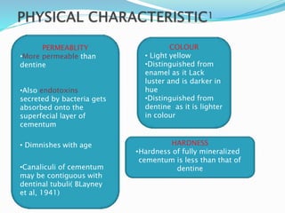 PERMEABLITY
•More permeable than
dentine
•Also endotoxins
secreted by bacteria gets
absorbed onto the
superfecial layer of
cementum
• Dimnishes with age
•Canaliculi of cementum
may be contiguous with
dentinal tubuli( BLayney
et al, 1941)
COLOUR
• Light yellow
•Distinguished from
enamel as it Lack
luster and is darker in
hue
•Distinguished from
dentine as it is lighter
in colour
HARDNESS
•Hardness of fully mineralized
cementum is less than that of
dentine
 