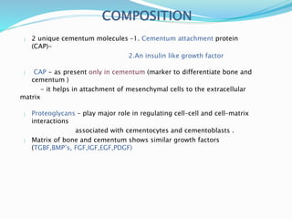  2 unique cementum molecules –1. Cementum attachment protein
(CAP)-
2.An insulin like growth factor
 CAP - as present only in cementum (marker to differentiate bone and
cementum )
- it helps in attachment of mesenchymal cells to the extracellular
matrix
 Proteoglycans – play major role in regulating cell–cell and cell–matrix
interactions
associated with cementocytes and cementoblasts .
 Matrix of bone and cementum shows similar growth factors
(TGBF,BMP’s, FGF,IGF,EGF,PDGF)
 