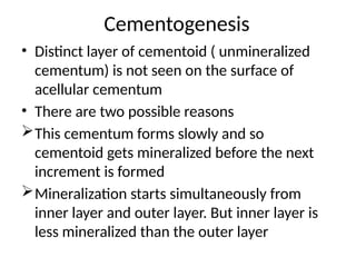 Cementum and its types and abnormalities caused in cementum | PPTX