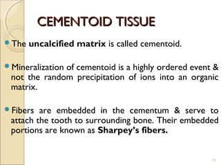 Cementum | PPT