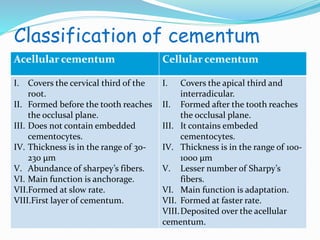 Classification of cementum 
Acellular cementum Cellular cementum 
I. Covers the apical third and 
interradicular. 
II. Formed after the tooth reaches 
the occlusal plane. 
III. It contains embeded 
cementocytes. 
IV. Thickness is in the range of 100- 
1000 μm 
V. Lesser number of Sharpy’s 
fibers. 
VI. Main function is adaptation. 
VII. Formed at faster rate. 
VIII.Deposited over the acellular 
cementum. 
I. Covers the cervical third of the 
root. 
II. Formed before the tooth reaches 
the occlusal plane. 
III. Does not contain embedded 
cementocytes. 
IV. Thickness is in the range of 30- 
230 μm 
V. Abundance of sharpey’s fibers. 
VI. Main function is anchorage. 
VII.Formed at slow rate. 
VIII.First layer of cementum. 
 