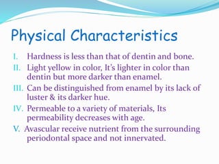 Physical Characteristics 
I. Hardness is less than that of dentin and bone. 
II. Light yellow in color, It’s lighter in color than 
dentin but more darker than enamel. 
III. Can be distinguished from enamel by its lack of 
luster & its darker hue. 
IV. Permeable to a variety of materials, Its 
permeability decreases with age. 
V. Avascular receive nutrient from the surrounding 
periodontal space and not innervated. 
 