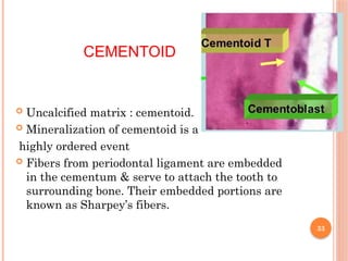 CEMENTUM-a dynamically active tissue in peridontium | PPTX