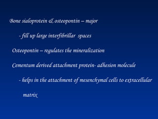 Bone sialoprotein & osteopontin – major
- fill up large interfibrillar spaces
Osteopontin – regulates the mineralization
Cementum derived attachment protein- adhesion molecule
- helps in the attachment of mesenchymal cells to extracellular
matrix
 