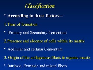 Classification
• According to three factors –
1.Time of formation
• Primary and Secondary Cementum
2.Presence and absence of cells within its matrix
• Acellular and cellular Cementum
3. Origin of the collagenous fibers & organic matrix
• Intrinsic, Extrinsic and mixed fibers
 