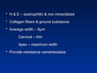 • H & E – eosinophilic & non mineralized
• Collagen fibers & ground substance
• Average width – 8μm
Cervical – thin
Apex – maximum width
• Provide resistance cementoclasia
 