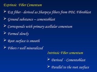 Extrinsic Fiber Cementum
 Ext fiber - derived as Sharpeys fibers from PDL Fibroblast
 Ground substance – cementoblast
 Corresponds with primary acellular cementum
 Formed slowly
 Root surface is smooth
 Fibers r well mineralized
Intrinsic Fiber cementum
 Derived - Cementoblast
 Parallel to the root surface
 