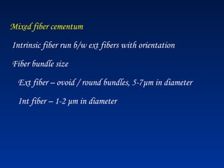 Mixed fiber cementum
Intrinsic fiber run b/w ext fibers with orientation
Fiber bundle size
Ext fiber – ovoid / round bundles, 5-7μm in diameter
Int fiber – 1-2 μm in diameter
 