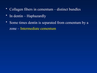 • Collagen fibers in cementum – distinct bundles
• In dentin – Haphazardly
• Some times dentin is separated from cementum by a
zone – Intermediate cementum
 