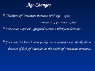 Age Changes
Thickness of Cementum increases with age – apex
- because of passive eruption
Cementum exposed – gingival recession thickness decreases
Cementocytes have lowest proliferative capacity – gradually die –
because of lack of nutrition as the width of Cementum increases.
 