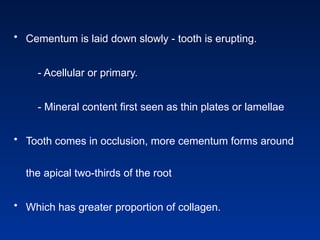 • Cementum is laid down slowly - tooth is erupting.
- Acellular or primary.
- Mineral content first seen as thin plates or lamellae
• Tooth comes in occlusion, more cementum forms around
the apical two-thirds of the root
• Which has greater proportion of collagen.
 