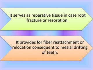 It serves as reparative tissue in case root
fracture or resorption.
It provides for fiber reattachment or
relocation consequent to mesial drifting
of teeth.
 