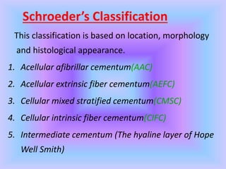 Schroeder’s Classification
This classification is based on location, morphology
and histological appearance.
1. Acellular afibrillar cementum(AAC)
2. Acellular extrinsic fiber cementum(AEFC)
3. Cellular mixed stratified cementum(CMSC)
4. Cellular intrinsic fiber cementum(CIFC)
5. Intermediate cementum (The hyaline layer of Hope
Well Smith)
 