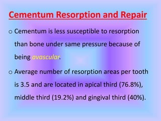 Cementum Resorption and Repair
o Cementum is less susceptible to resorption
than bone under same pressure because of
being avascular.
o Average number of resorption areas per tooth
is 3.5 and are located in apical third (76.8%),
middle third (19.2%) and gingival third (40%).
 