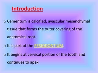 Introduction
o Cementum is calcified, avascular mesenchymal
tissue that forms the outer covering of the
anatomical root.
o It is part of the PERIODONTIUM.
o It begins at cervical portion of the tooth and
continues to apex.
 