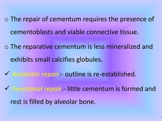 .
o The repair of cementum requires the presence of
cementoblasts and viable connective tissue.
o The reparative cementum is less mineralized and
exhibits small calcifies globules.
 Anatomic repair:- outline is re-established.
 Functional repair:- little cementum is formed and
rest is filled by alveolar bone.
 