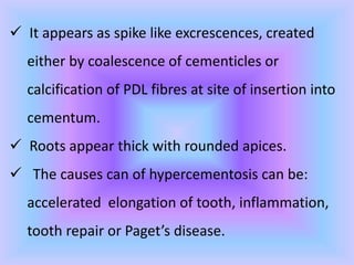  It appears as spike like excrescences, created
either by coalescence of cementicles or
calcification of PDL fibres at site of insertion into
cementum.
 Roots appear thick with rounded apices.
 The causes can of hypercementosis can be:
accelerated elongation of tooth, inflammation,
tooth repair or Paget’s disease.
 