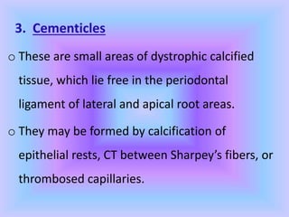 3. Cementicles
o These are small areas of dystrophic calcified
tissue, which lie free in the periodontal
ligament of lateral and apical root areas.
o They may be formed by calcification of
epithelial rests, CT between Sharpey’s fibers, or
thrombosed capillaries.
 