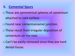 5. Cemental Spurs
o These are symmetrical spheres of cementum
attached to root surface.
o Found near cementoenamel junction.
o These result from irregular deposition of
cementum on the root.
o Can’t be easily removed since they are hard
dental tissue.
 