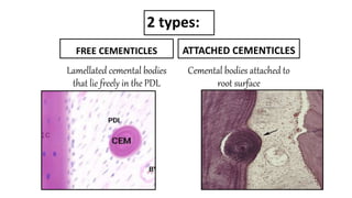 CEMENTUM final.pptx