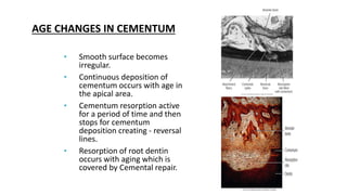 CEMENTUM IN HEALTH AND DISEASE.pptx