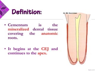 • Cementum is the
mineralized dental tissue
covering the anatomic
roots.
• It begins at the CEJ and
continues to the apex.
Definition:Definition:
 