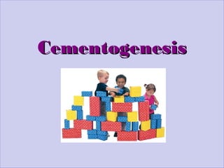 CementogenesisCementogenesis
 