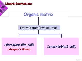 Derived from Two sources
Matrix formation:Matrix formation:
 
