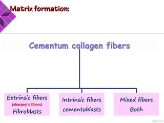 Matrix formation:Matrix formation:
 