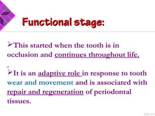 Functional stage:Functional stage:
This started when the tooth is in
occlusion and continues throughout life.
It is an adaptive role in response to tooth
wear and movement and is associated with
repair and regeneration of periodontal
tissues.
 