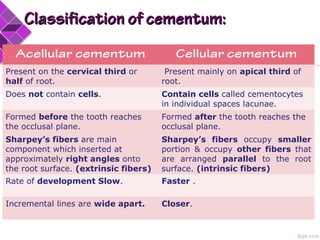 Acellular cementum Cellular cementum
Present on the cervical third or
half of root.
Present mainly on apical third of
root.
Does not contain cells. Contain cells called cementocytes
in individual spaces lacunae.
Formed before the tooth reaches
the occlusal plane.
Formed after the tooth reaches the
occlusal plane.
Sharpey’s fibers are main
component which inserted at
approximately right angles onto
the root surface. (extrinsic fibers)
Sharpey’s fibers occupy smaller
portion & occupy other fibers that
are arranged parallel to the root
surface. (intrinsic fibers)
Rate of development Slow. Faster .
Incremental lines are wide apart. Closer.
Classification of cementum:Classification of cementum:
 