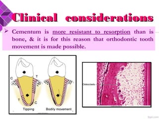 Clinical considerationsClinical considerations
 Cementum is more resistant to resorption than is
bone, & it is for this reason that orthodontic tooth
movement is made possible.
 