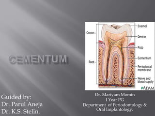 Dr. Mariyam Momin
I Year PG
Department of Periodontology &
Oral Implantology.
Guided by:
Dr. Parul Aneja
Dr. K.S. Stelin.
 
