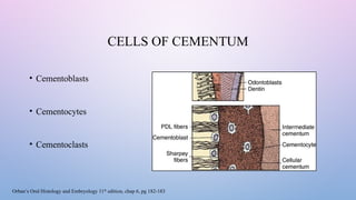 CEMENTUM PPT new.pptx it is a most important structure for retaining ...