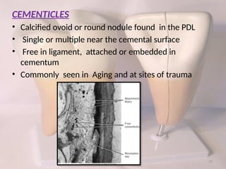CEMENTUM – ULTRA STRUCTURE & FUNCTIONS.pptx