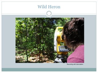 Wild Heron
Recording with total station
 