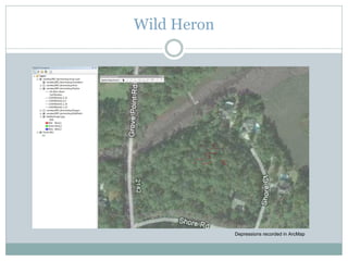 Wild Heron
Depressions recorded in ArcMap
 