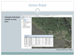 Grove Point
Markers georeferenced in ArcMap
 Georgia Individual
marker survey
form
 