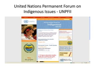 United Nations Permanent Forum on
Indigenous Issues - UNPFII
 