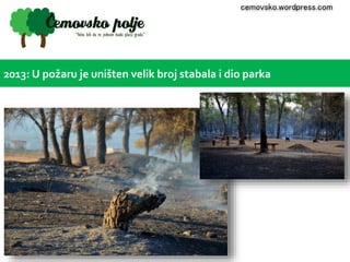 cemovsko.wordpress.com 
2013: U požaru je uništen velik broj stabala i dio parka 
 