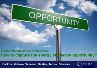 BLOCK SEMINAR  Stochkolm, Date.. Environmental drivers for business: How to capture the energy efficiency opportunity?    Carlota, Marieke, Vanessa, Dantek, Tomek, Silwerek 