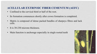 Cementum in Dentistry | PPTX